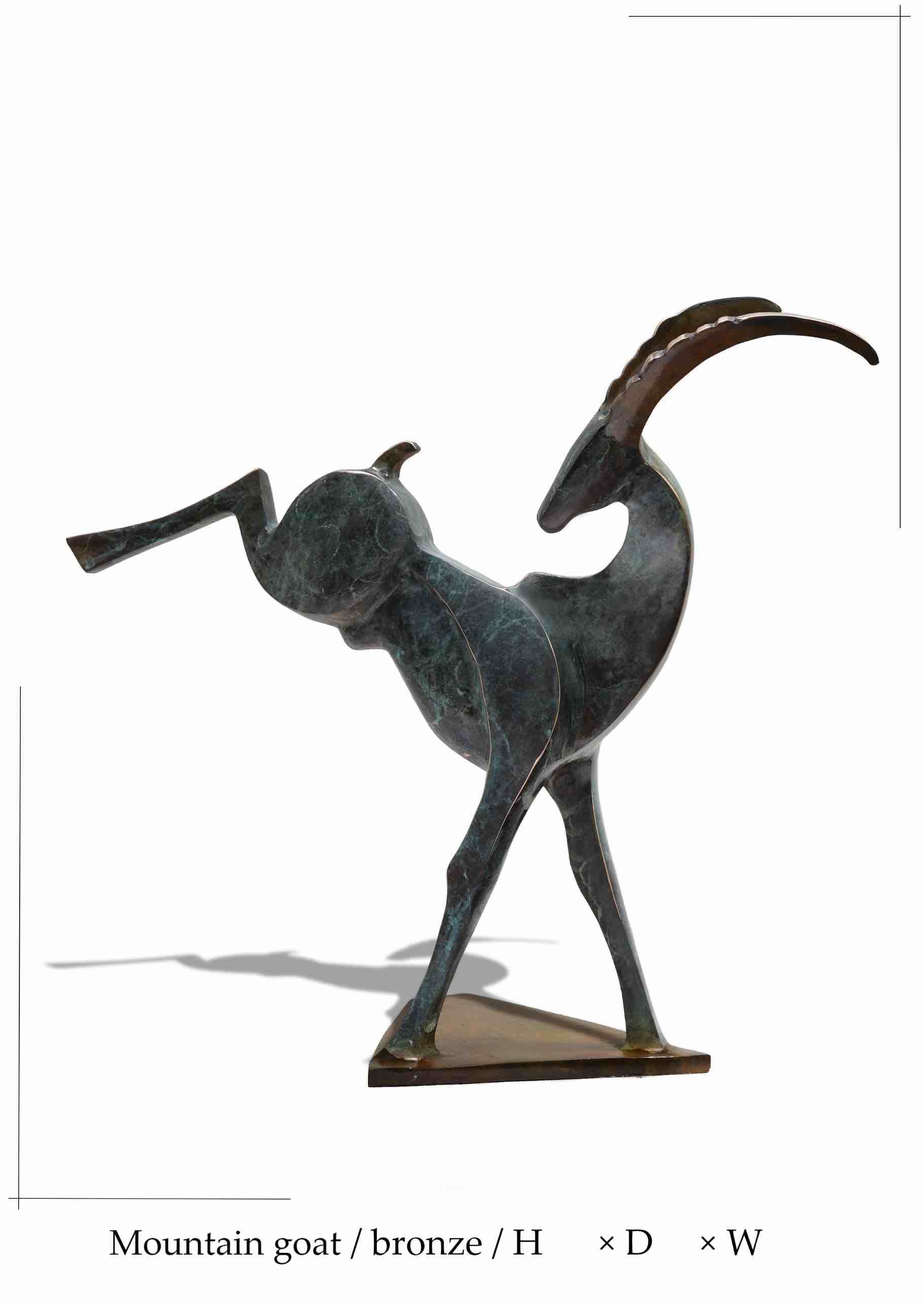 Mountain Goat